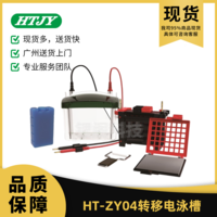 HT-ZY04转移电泳槽 HT-ZY04 锂阁优选