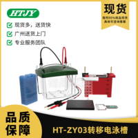 HT-ZY03转移电泳槽 HT-ZY03 锂阁优选