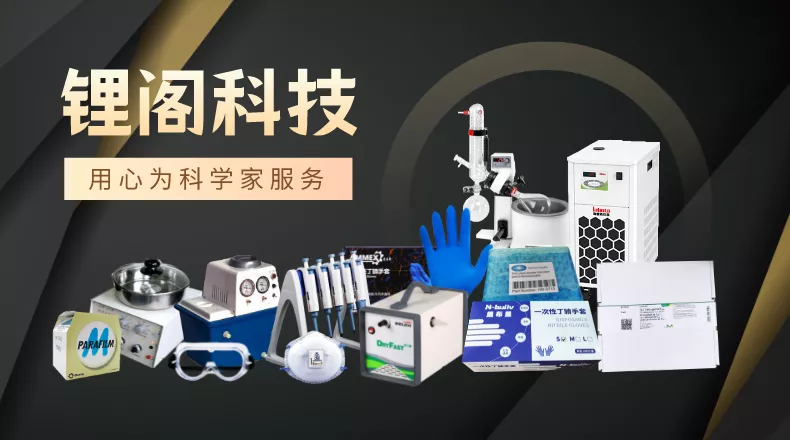 锂阁头图.png
