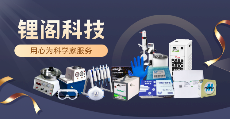 锂阁头图.png